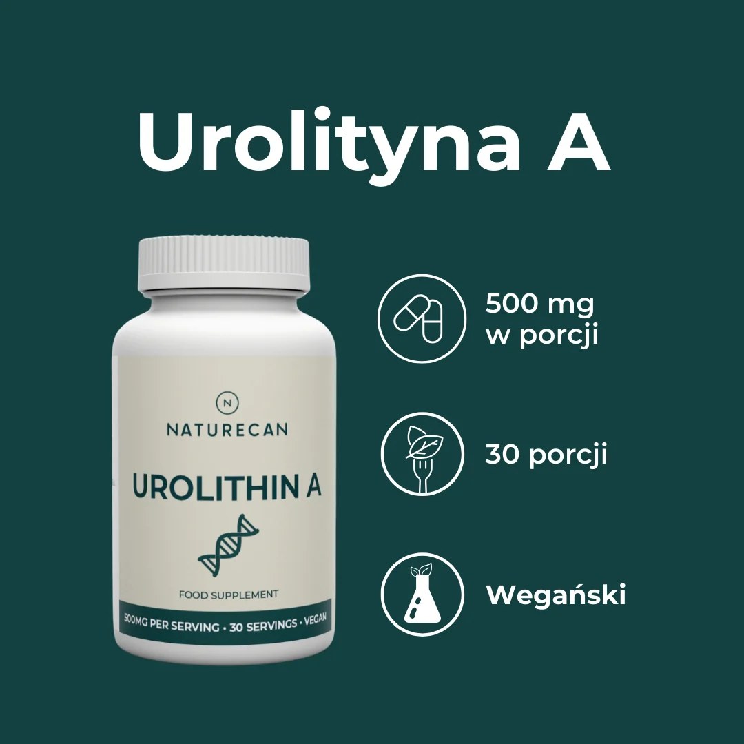 Naturecan Urolithin A – 500 mg na porcję, 30 porcji, suplement wegański wspierający energię komórkową